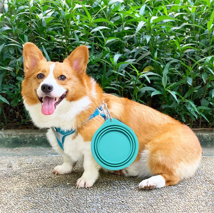 Large Collapsible Dog Bowl