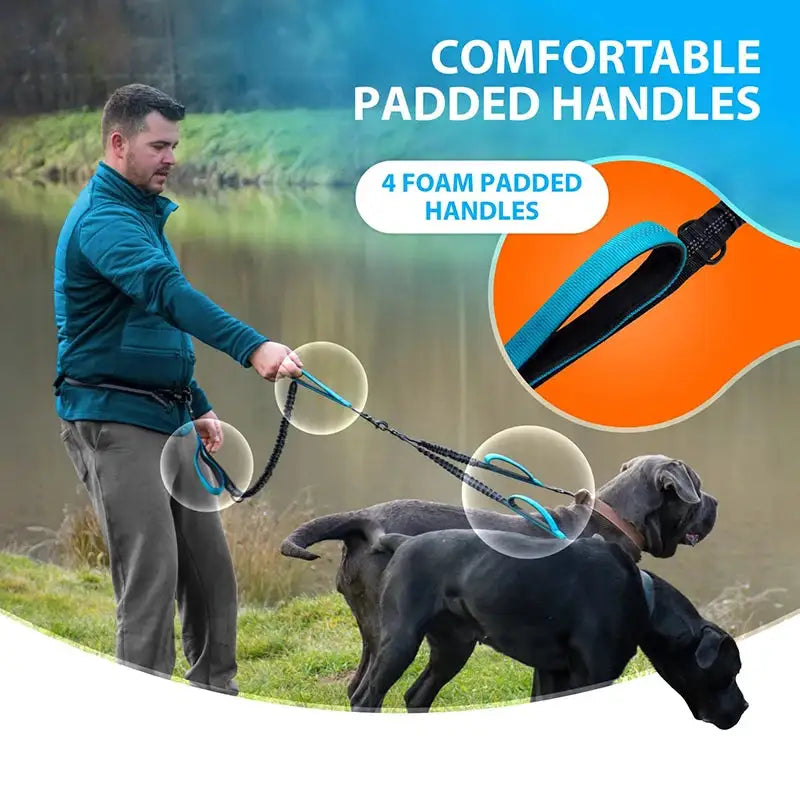 Reflective Comfort Leash Duo