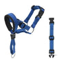 Dog Halter Training Head Collar